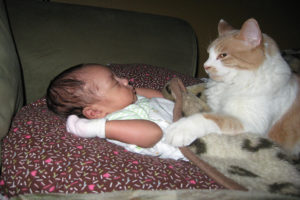 niña con un gatito